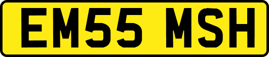 EM55MSH