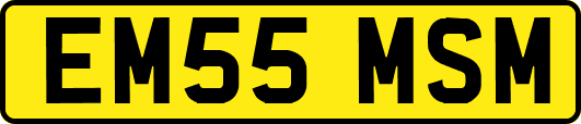 EM55MSM