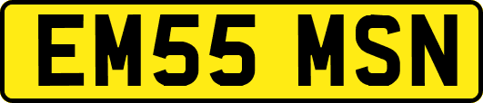EM55MSN