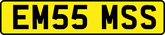 EM55MSS