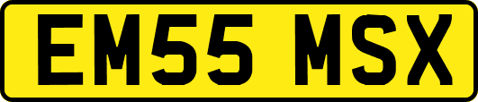 EM55MSX