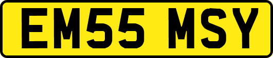 EM55MSY
