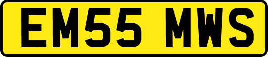 EM55MWS