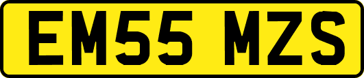 EM55MZS