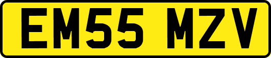 EM55MZV
