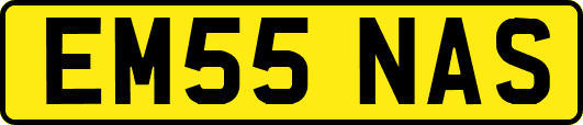 EM55NAS