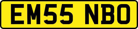 EM55NBO