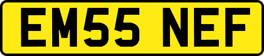 EM55NEF