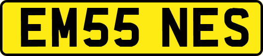 EM55NES