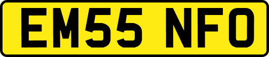EM55NFO