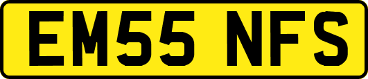 EM55NFS