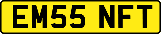EM55NFT