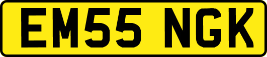 EM55NGK