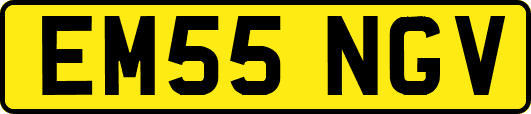 EM55NGV