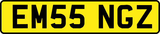 EM55NGZ