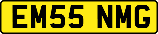 EM55NMG