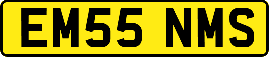 EM55NMS