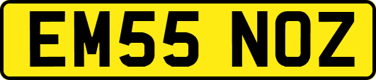 EM55NOZ