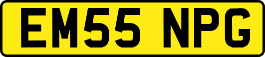 EM55NPG