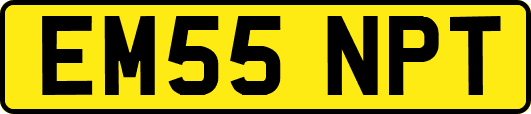 EM55NPT