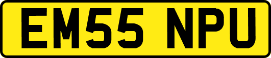 EM55NPU