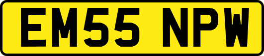 EM55NPW