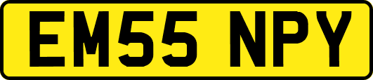 EM55NPY