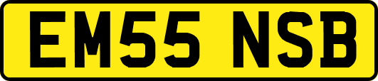 EM55NSB