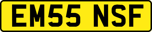 EM55NSF