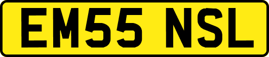 EM55NSL