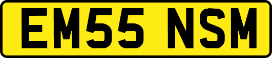 EM55NSM
