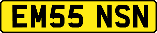 EM55NSN