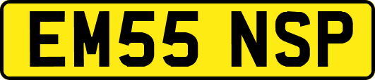 EM55NSP
