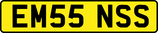 EM55NSS