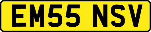 EM55NSV