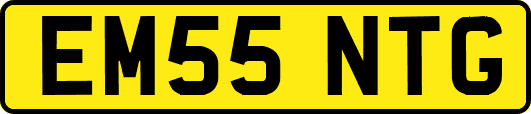 EM55NTG
