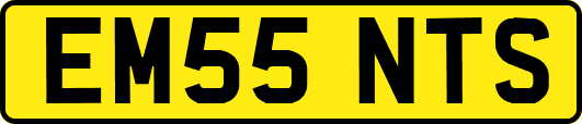 EM55NTS