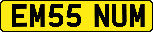 EM55NUM