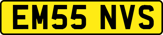 EM55NVS