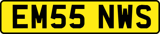EM55NWS