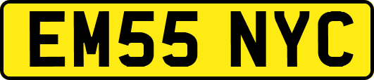 EM55NYC