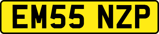 EM55NZP
