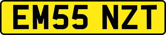 EM55NZT