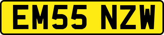 EM55NZW