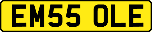 EM55OLE