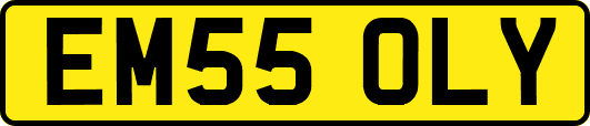 EM55OLY