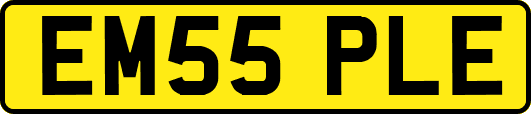 EM55PLE