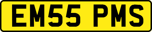 EM55PMS