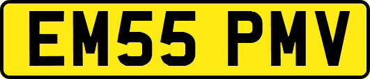 EM55PMV