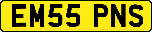 EM55PNS